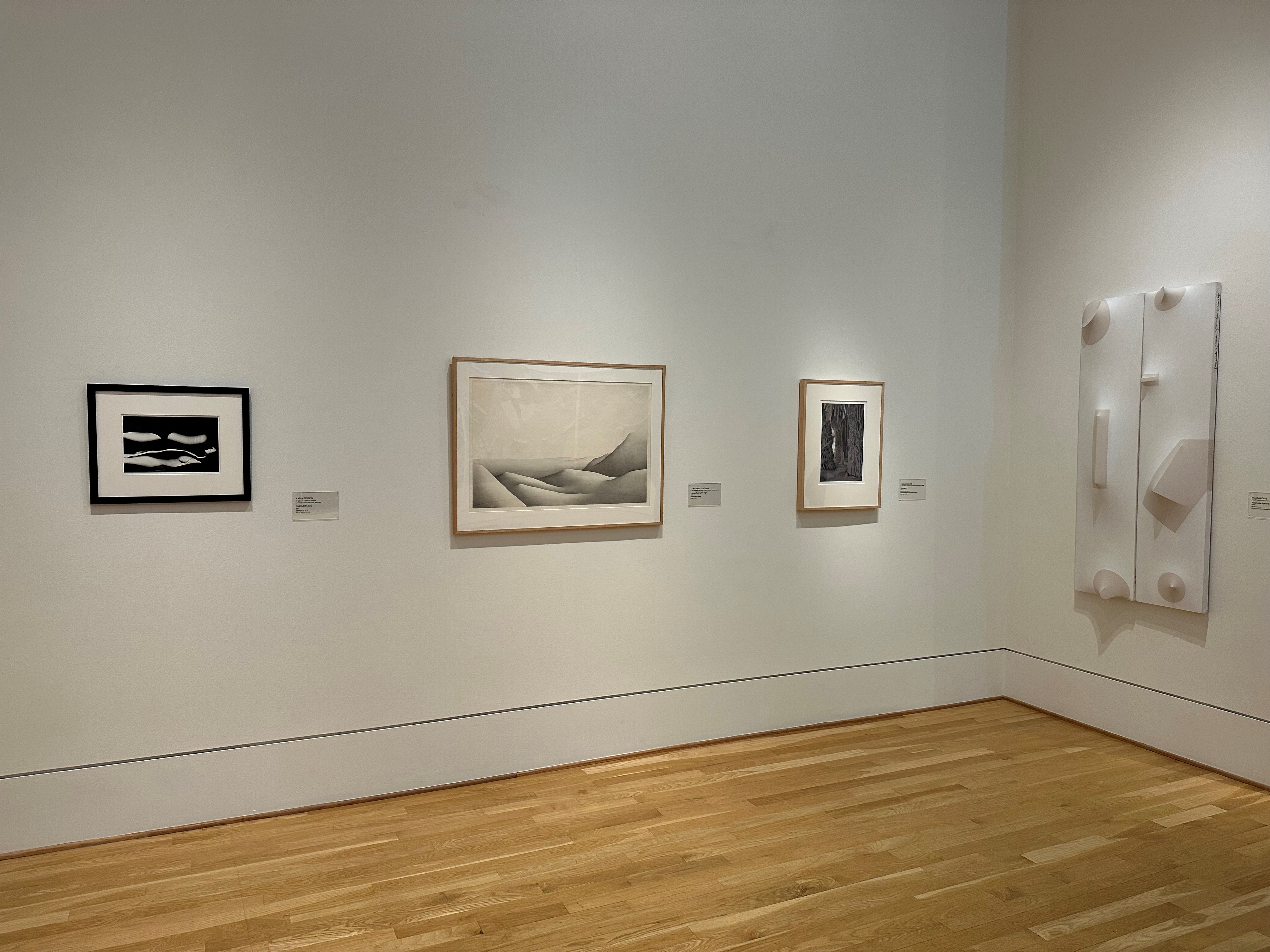 Installation view of artworks by Gibson, Costigan, Demand, Sanchez