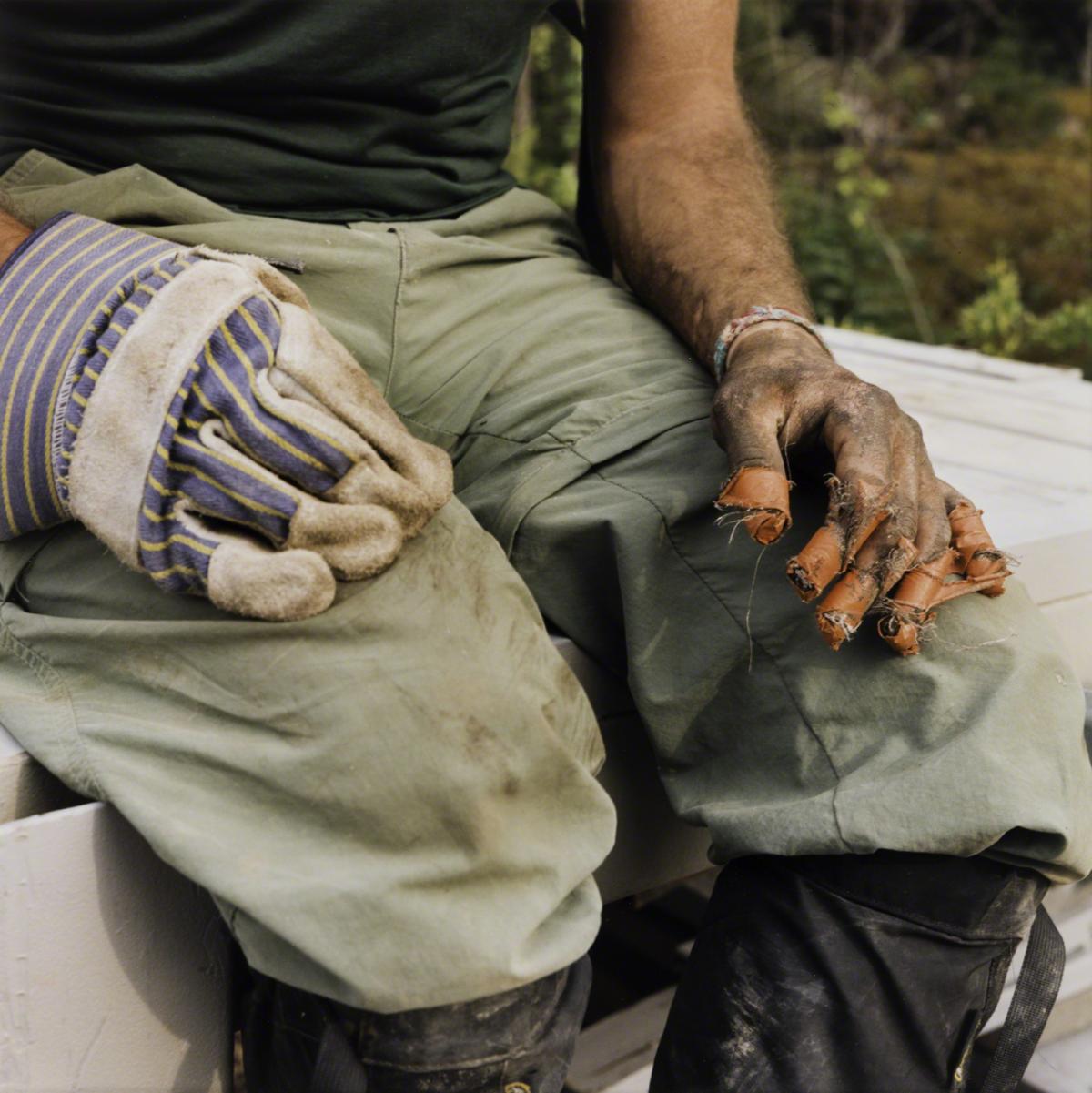 Sarah Anne Johnson, Untitled (Orange Duct Tape) (Tree Planting project), 2003.