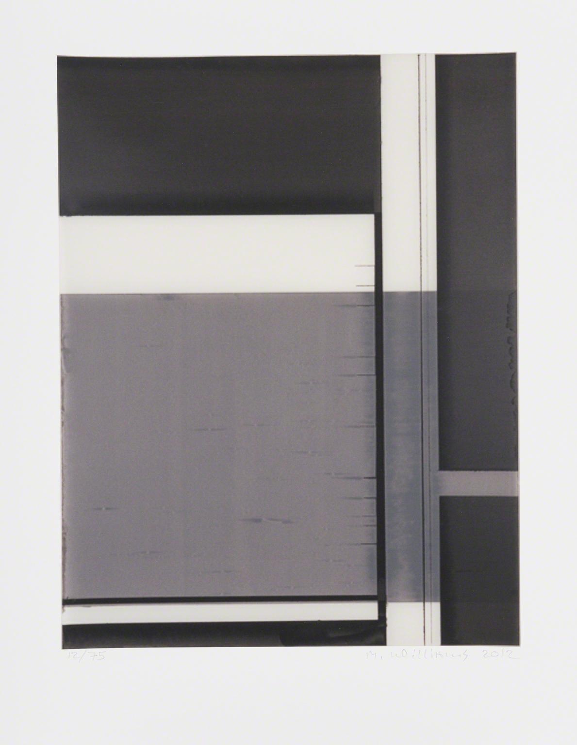 Mark Williams, Untitled, 2012.
