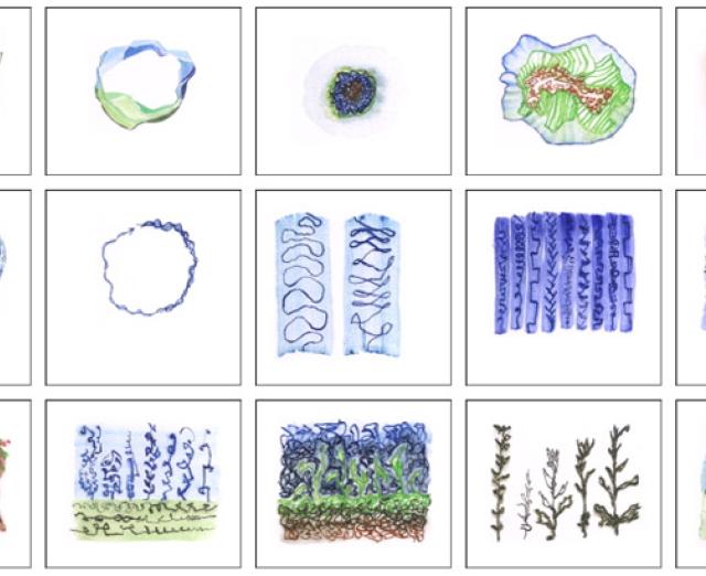 Screenshot of John F. Simon Jr.'s recent drawings, recorded in his online archive