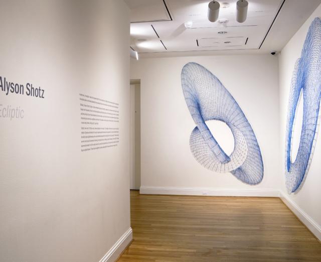 Alyson Shotz, Ecliptic, 2012