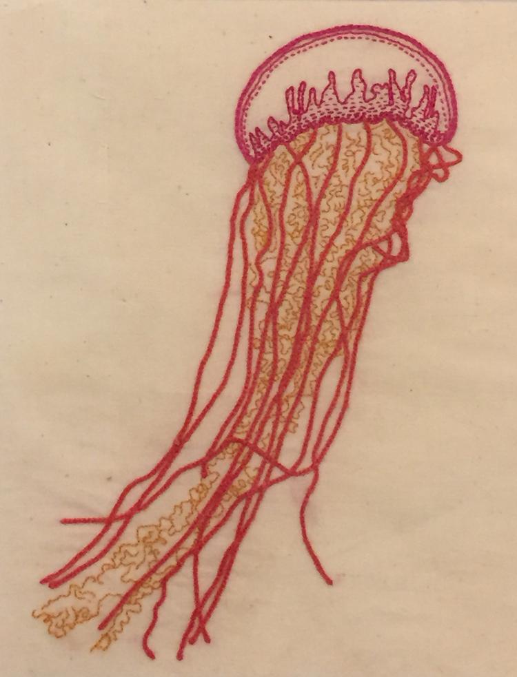 Ashley Meadows, They have been around for at least 565 million years, and probably far longer. And they haven't needed to change their body form or lifestyle in all that time... because they work. 2013, embroidery on cotton 