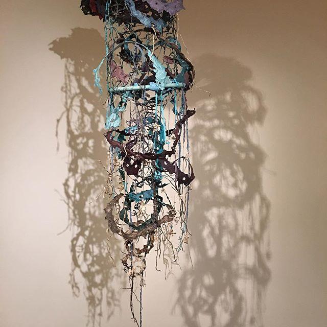 Helen Frederick_2_mycelium_rhizoid